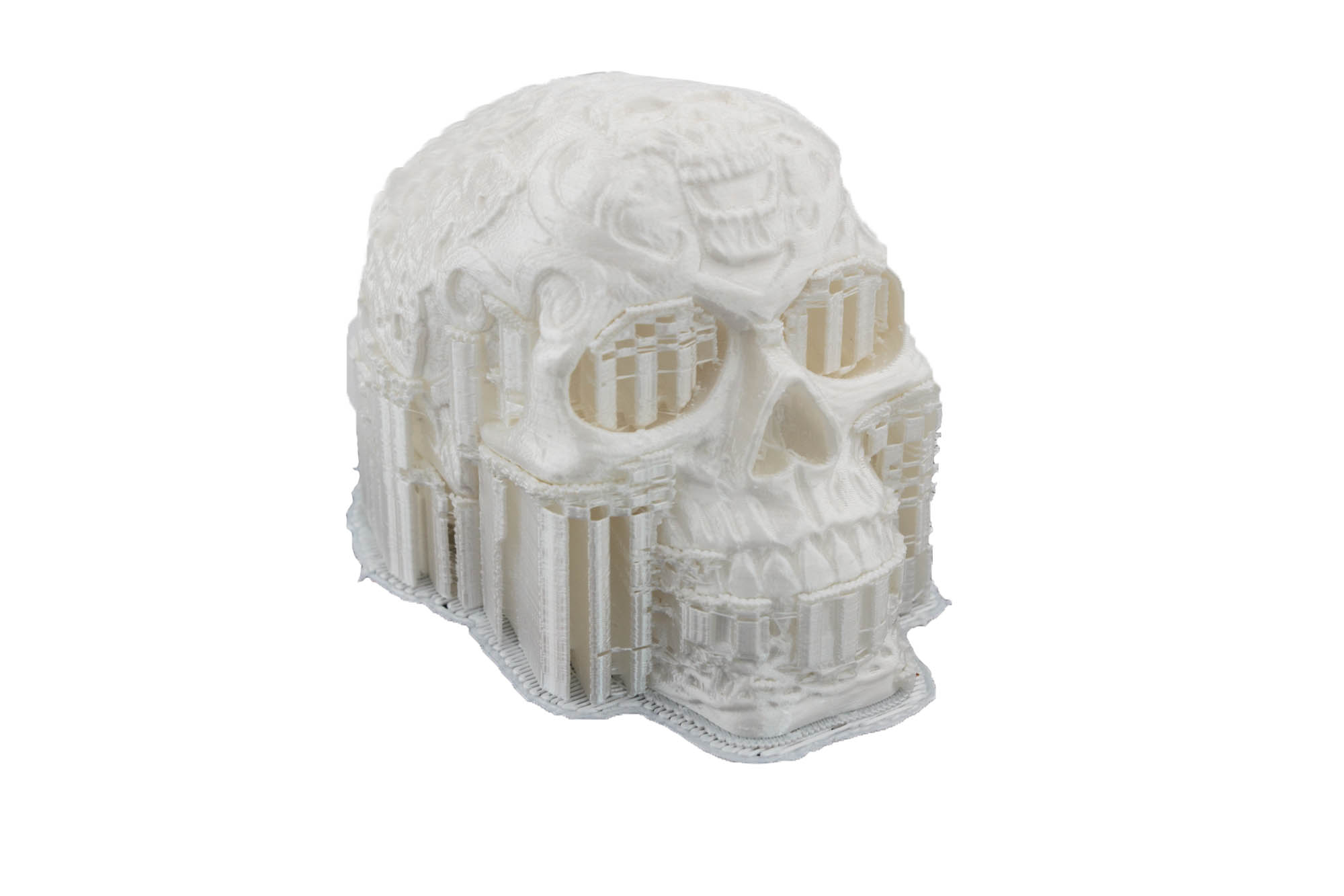 Celtic Skull with support